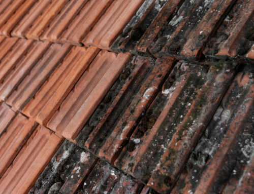 Quels sont les signes indiquant qu’un démoussage de toiture à Vallet est nécessaire ?