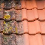 Démoussage toiture à Bouguenais