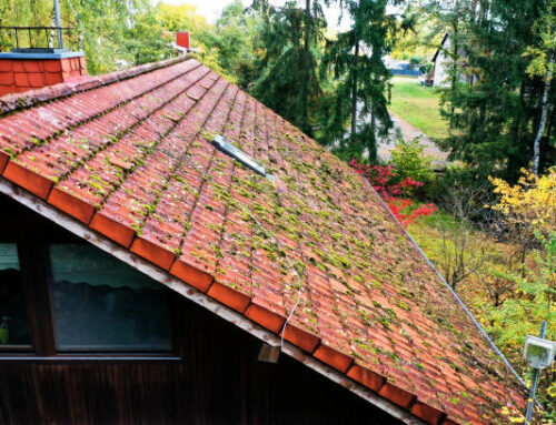 Quel traitement utiliser après un démoussage de toiture à Vallet pour prolonger son efficacité ?