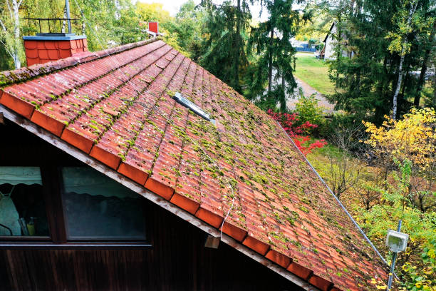 démoussage toiture Vallet