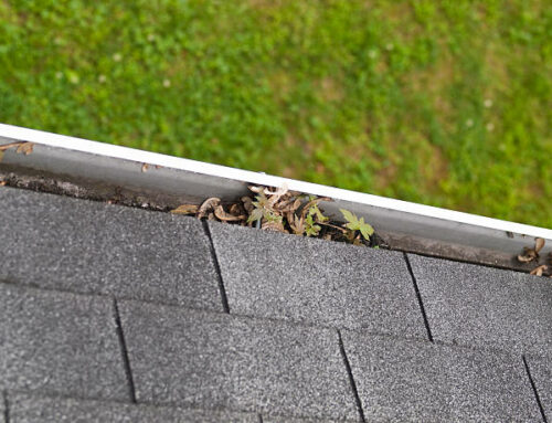 Quels sont les avantages du démoussage régulier de toiture pour les habitations à Rezé ?