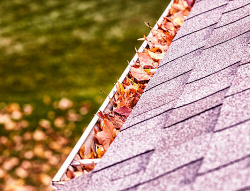 Quelles techniques de démoussage sont les plus efficaces pour les toitures en ardoise à Rezé ?
