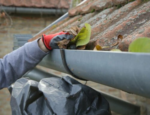 À quelle fréquence est-il recommandé de procéder au démoussage de sa toiture à Rezé pour assurer sa longévité ?