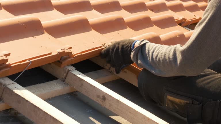 Nettoyage toiture à Montaigu