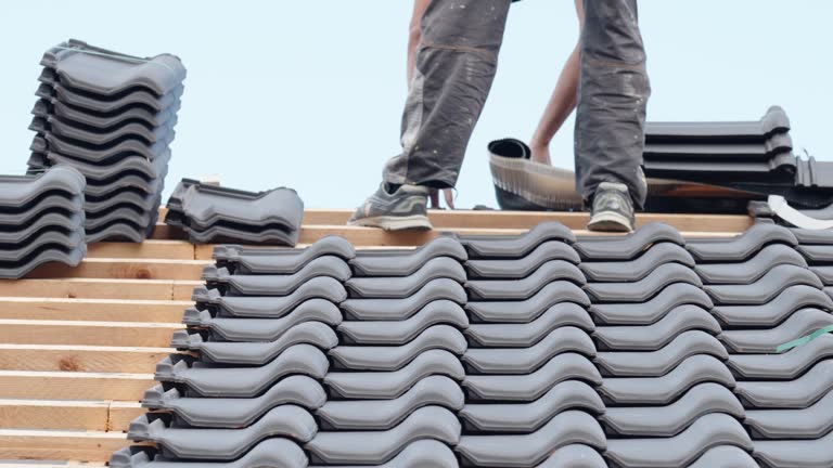 Nettoyage toiture à Montaigu